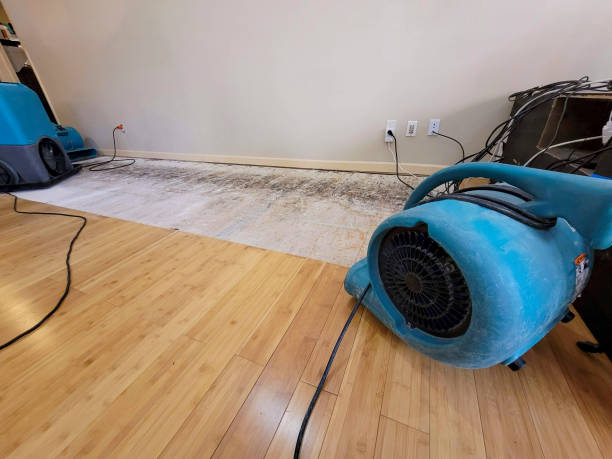 Professional Water Damage Repair technician working in Larue, TX